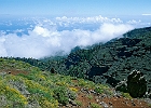 Auffahrt zum Roque de los Muchachos, dem höchsten Berg der Insel (2426 m). : Felsen, Wolken